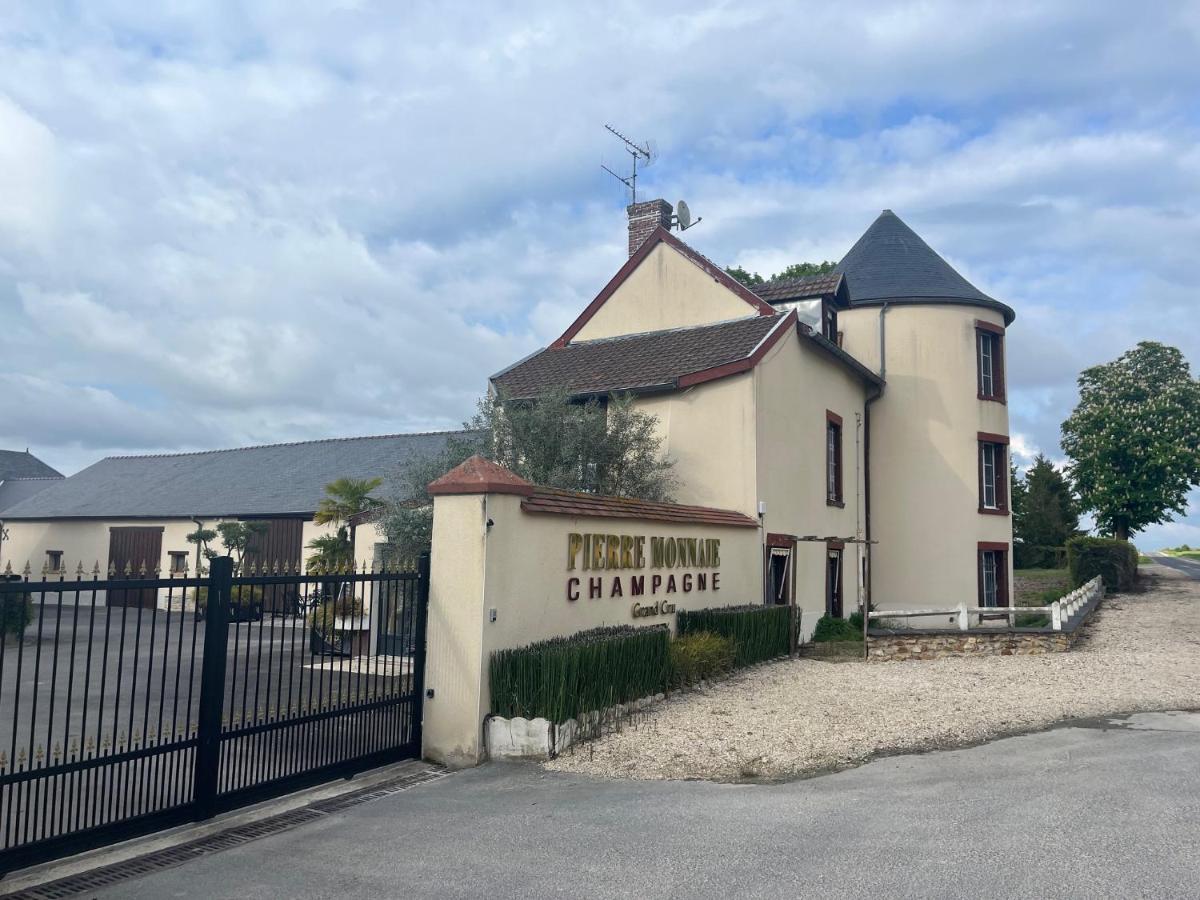 Domaine Pierre Monnaie Villa Verzy Bagian luar foto