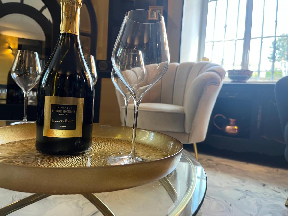 Domaine Pierre Monnaie Villa Verzy Bagian luar foto